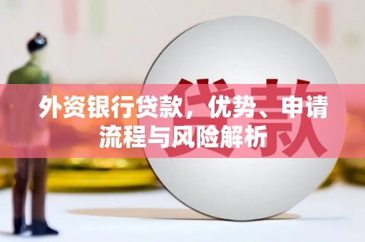 峨山外资银行贷款，优势、申请流程与风险解析