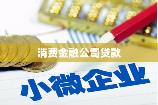 峨山消费金融公司贷款