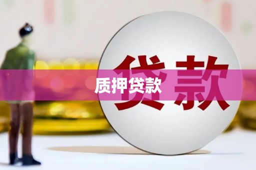 峨山质押贷款
