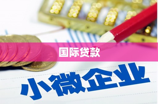峨山国际贷款
