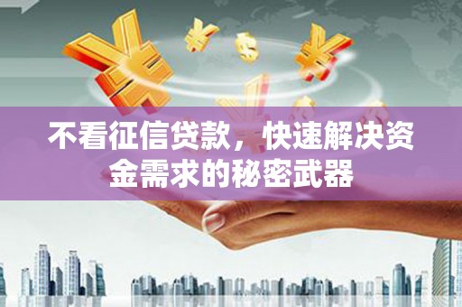 峨山不看征信贷款，快速解决资金需求的秘密武器