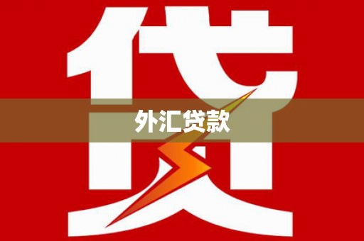 峨山外汇贷款