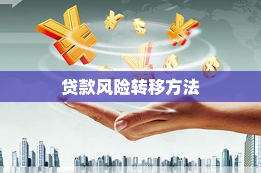 峨山贷款风险转移方法