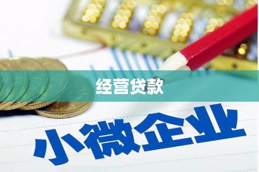峨山经营贷款
