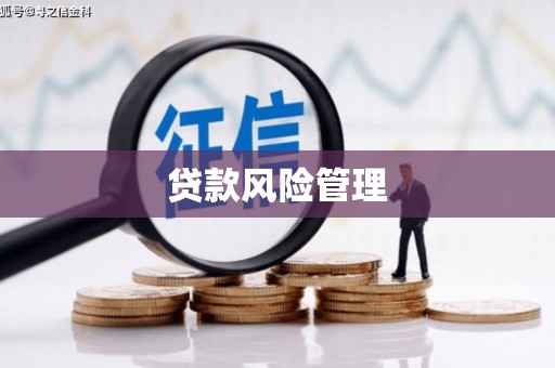 峨山贷款风险管理