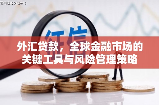 峨山外汇贷款，全球金融市场的关键工具与风险管理策略