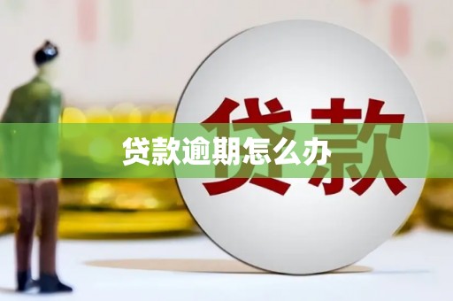 峨山贷款逾期怎么办