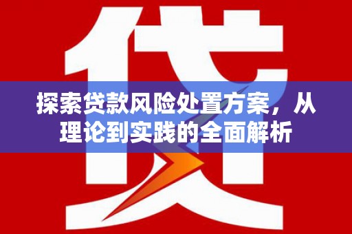 峨山探索贷款风险处置方案，从理论到实践的全面解析