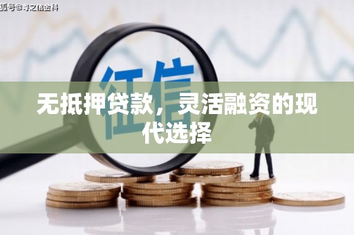 峨山无抵押贷款，灵活融资的现代选择