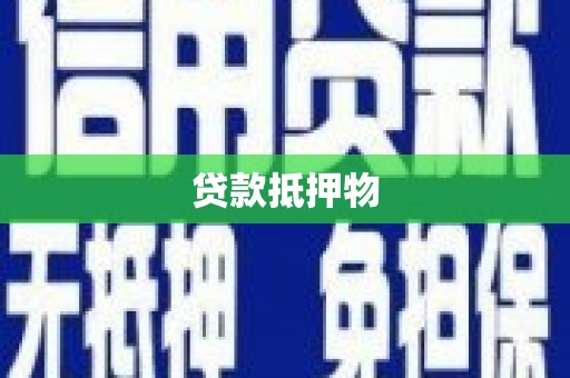 峨山贷款抵押物