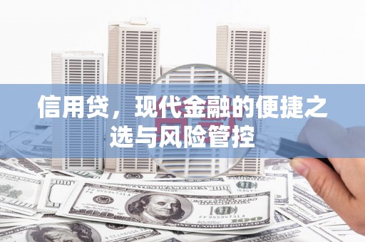 峨山信用贷，现代金融的便捷之选与风险管控