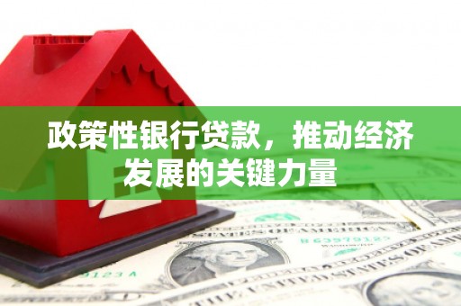 峨山政策性银行贷款，推动经济发展的关键力量