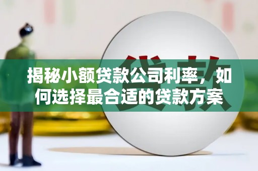 峨山揭秘小额贷款公司利率，如何选择最合适的贷款方案