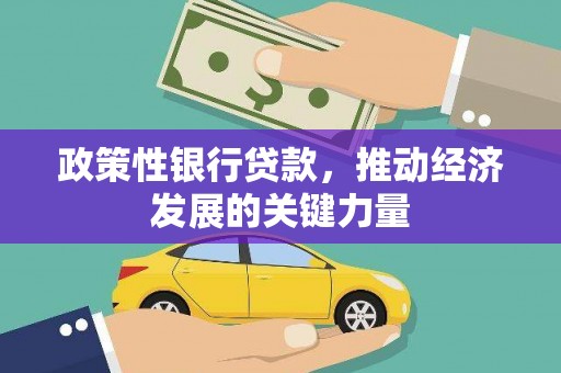 峨山政策性银行贷款，推动经济发展的关键力量
