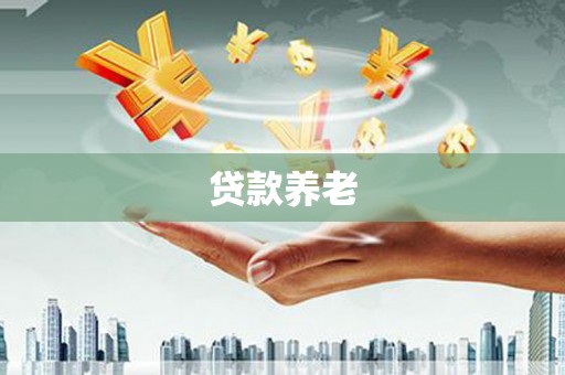 峨山贷款养老