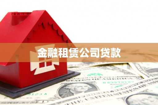 峨山金融租赁公司贷款