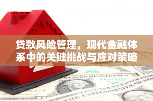 峨山贷款风险管理，现代金融体系中的关键挑战与应对策略