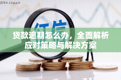 峨山贷款逾期怎么办，全面解析应对策略与解决方案