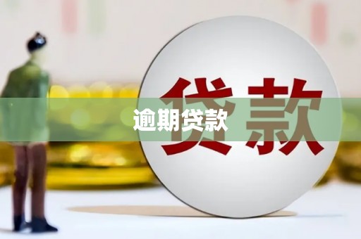 峨山逾期贷款